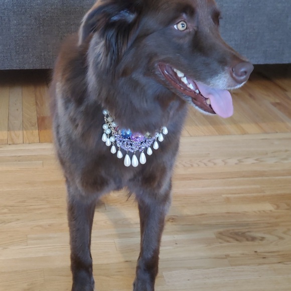 Meet your Posher, Kelly - Picture 3 of 4